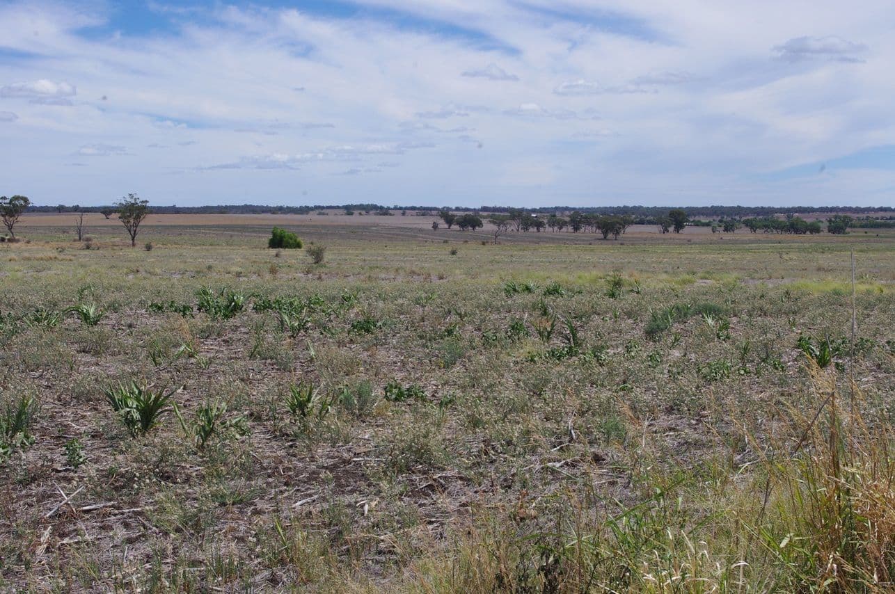 LOT 121 Abbotts Lane, INVERELL NSW 2360, Inverell - Thumbnail 8