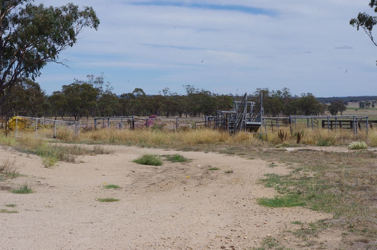 LOT 121 Abbotts Lane, INVERELL NSW 2360, Inverell - Thumbnail 5