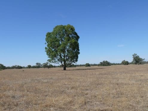 1 Brassi  Road, DENILIQUIN NSW 2710, Deniliquin - Thumbnail 2
