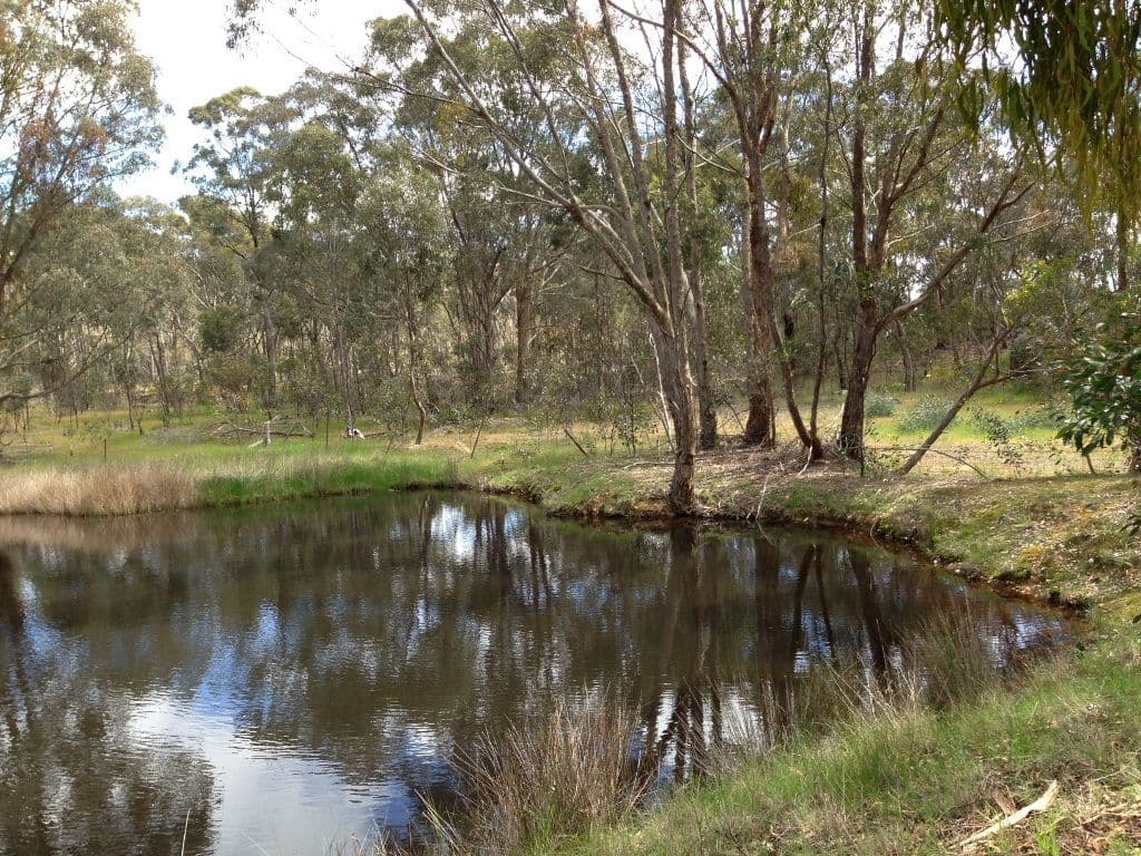 1777 Sunraysia Highway, REDBANK VIC 3477, Redbank - Thumbnail 8