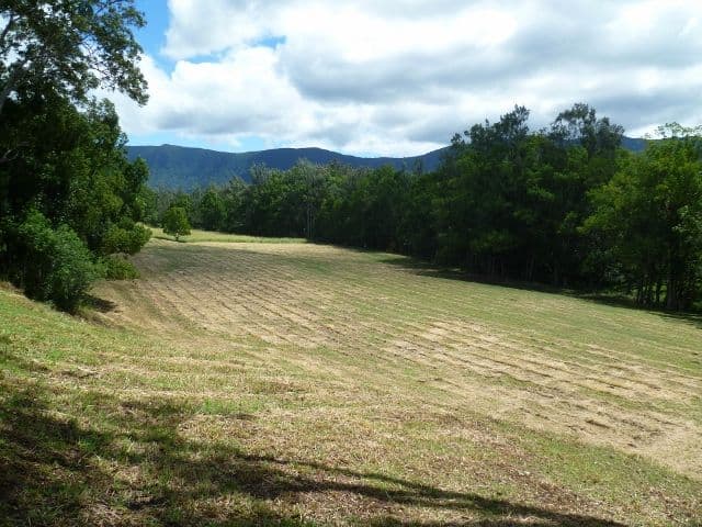 Lot 1 Tyalgum Creek Road, TYALGUM NSW 2484, Tyalgum - Thumbnail 6