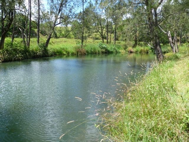 Lot 1 Tyalgum Creek Road, TYALGUM NSW 2484, Tyalgum - Image 1
