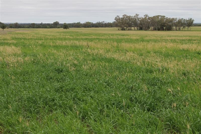 TOTTENHAM NSW 2873, Tottenham - Image 1