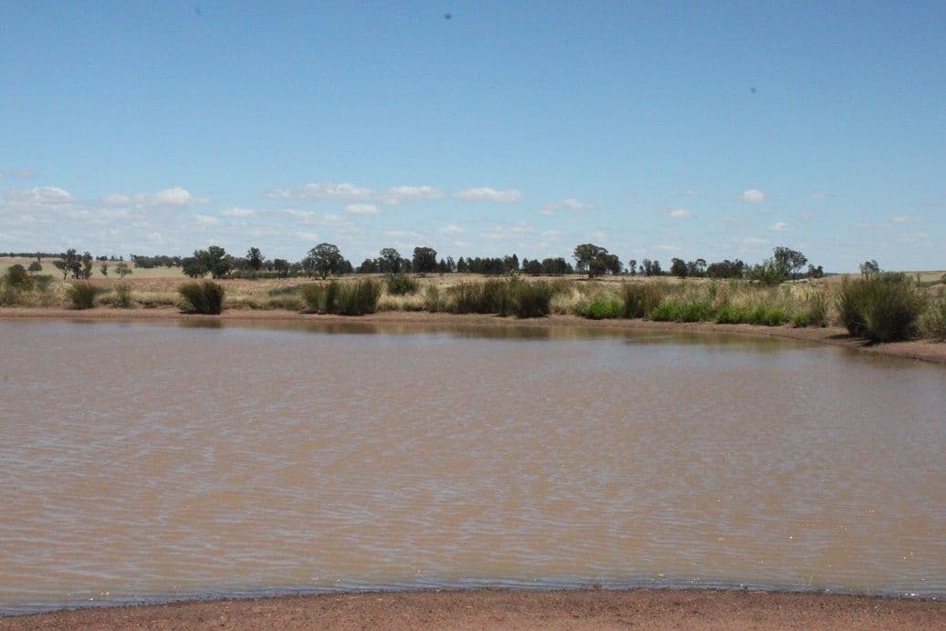 Lot 1 Sunset Ridge, FORBES NSW 2871, Forbes - Thumbnail 4