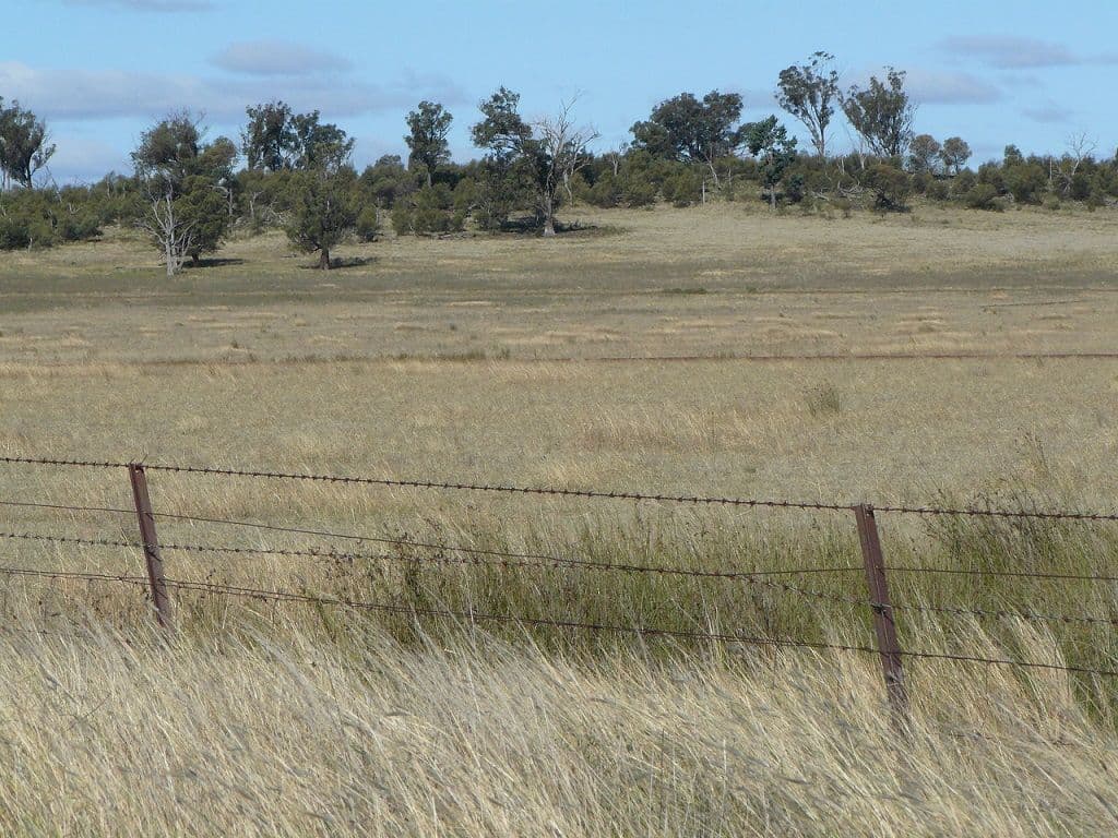 Lot 1 Sunset Ridge, FORBES NSW 2871, Forbes - Thumbnail 7