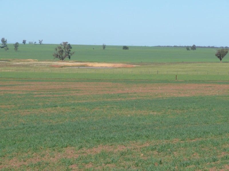 Lot 1 Sunset Ridge, FORBES NSW 2871, Forbes - Thumbnail 8