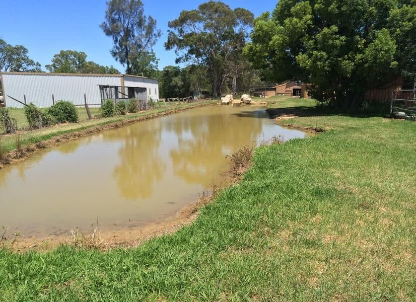 53 Rickaby Street, CLARENDON NSW 2756, Clarendon - Thumbnail 7