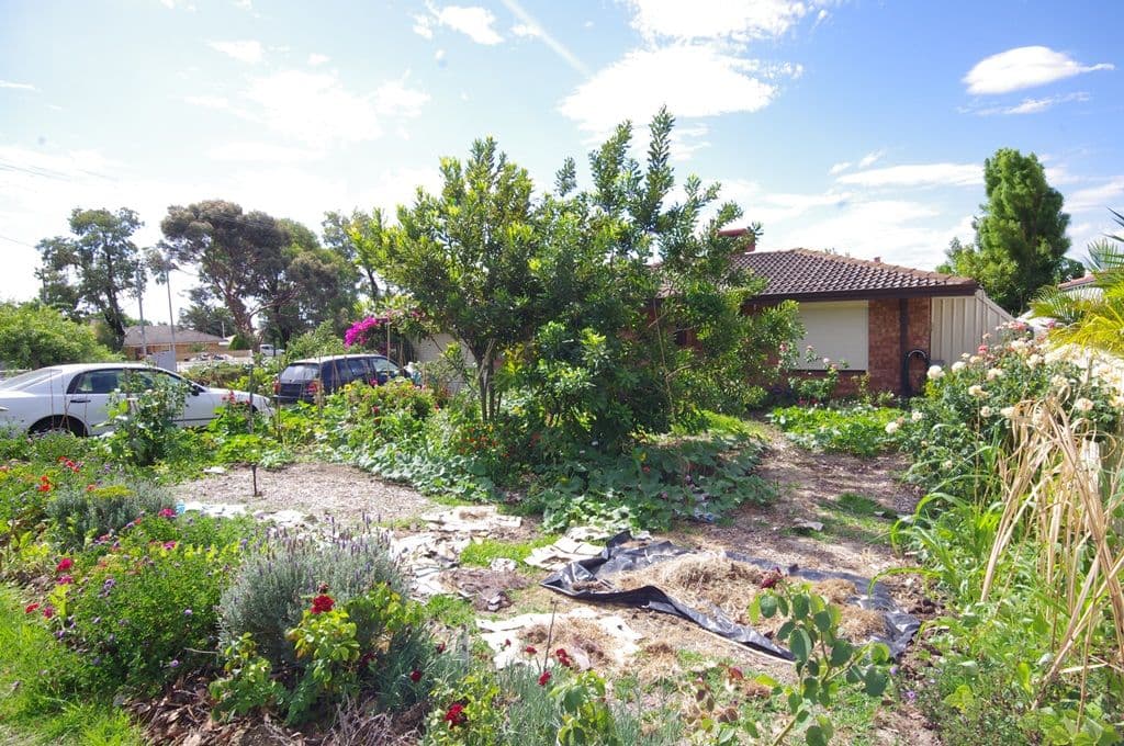 20 Redunca Way, MIRRABOOKA WA 6061, Mirrabooka - Thumbnail 2