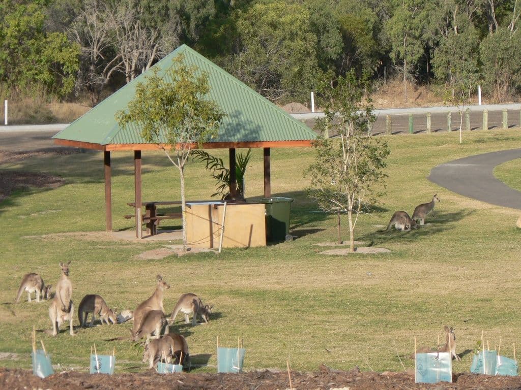 51 The Oaks Road, TANNUM SANDS QLD 4680, Tannum Sands - Thumbnail 6