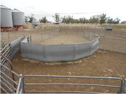 76 Billy Lane, BORDERTOWN SA 5268, Bordertown - Thumbnail 4
