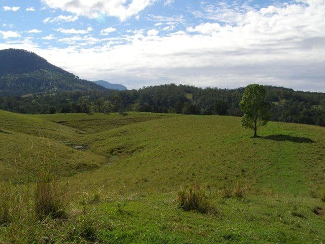 LIMPINWOOD NSW 2484, Limpinwood - Thumbnail 7