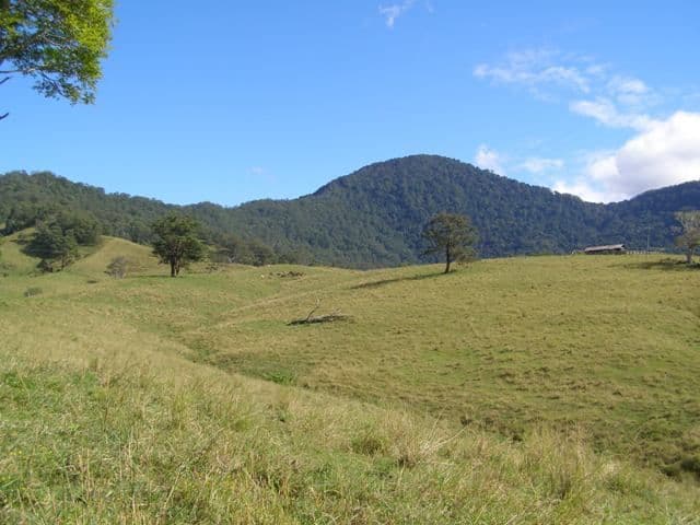 LIMPINWOOD NSW 2484, Limpinwood - Image 1