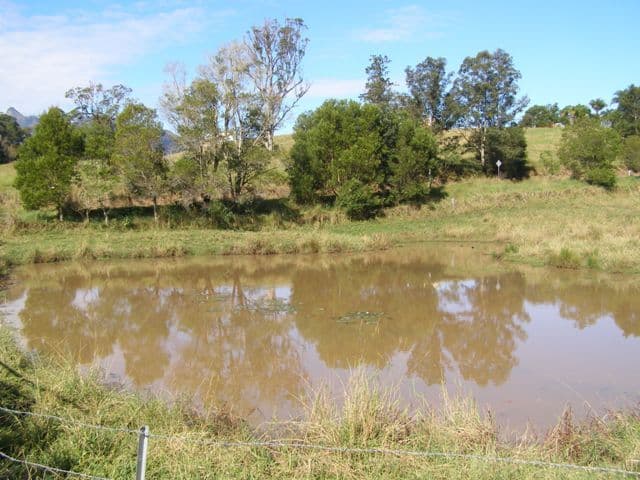 LIMPINWOOD NSW 2484, Limpinwood - Thumbnail 6