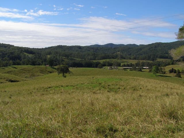LIMPINWOOD NSW 2484, Limpinwood - Thumbnail 2