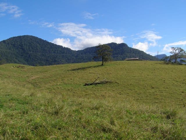 LIMPINWOOD NSW 2484, Limpinwood - Thumbnail 4