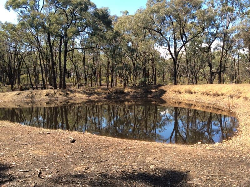 113 Gold Diggers Road, BAILIESTON VIC 3608, Bailieston - Thumbnail 2