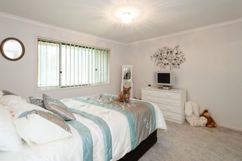 33 Riverview, BLI BLI QLD 4560, Bli Bli - Thumbnail 6