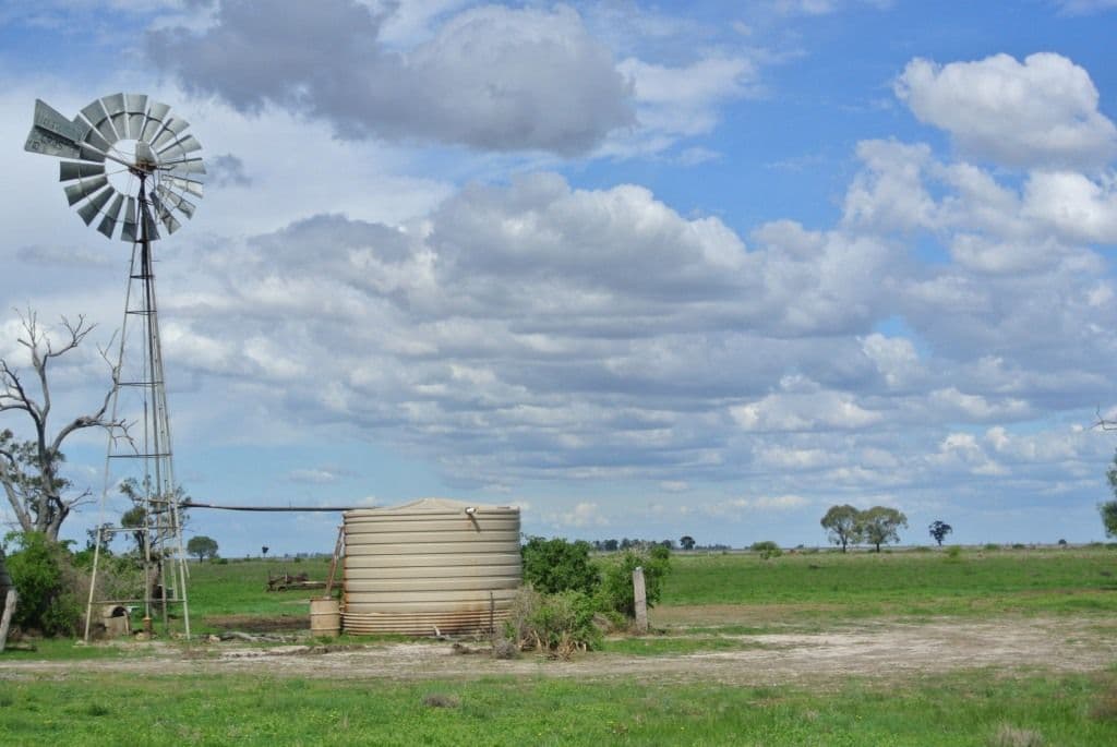 416 Tarlee Road, EDGEROI NSW 2390, Edgeroi - Thumbnail 6