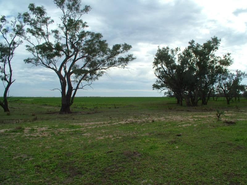 HEBEL QLD 4486, Hebel - Thumbnail 4