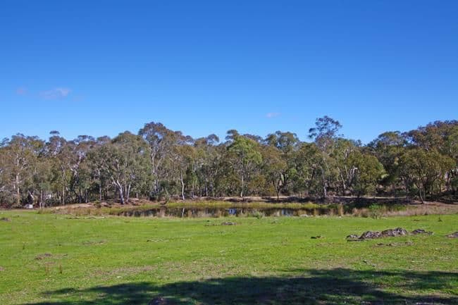421 Weeroona Drive, WAMBOIN NSW 2620, Wamboin - Thumbnail 4