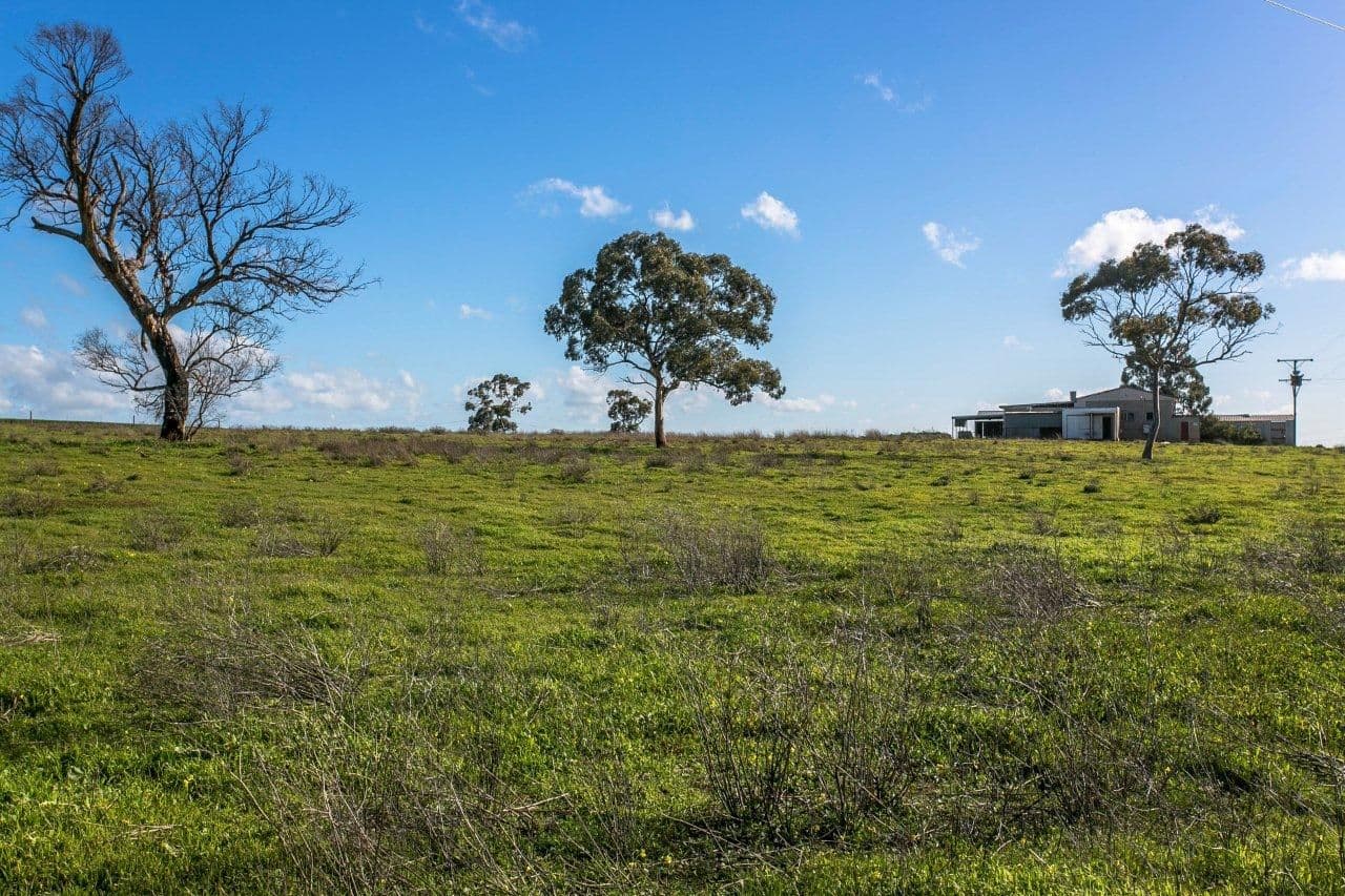 130 Booker Road, Templers, FREELING SA 5372, Freeling - Image 1