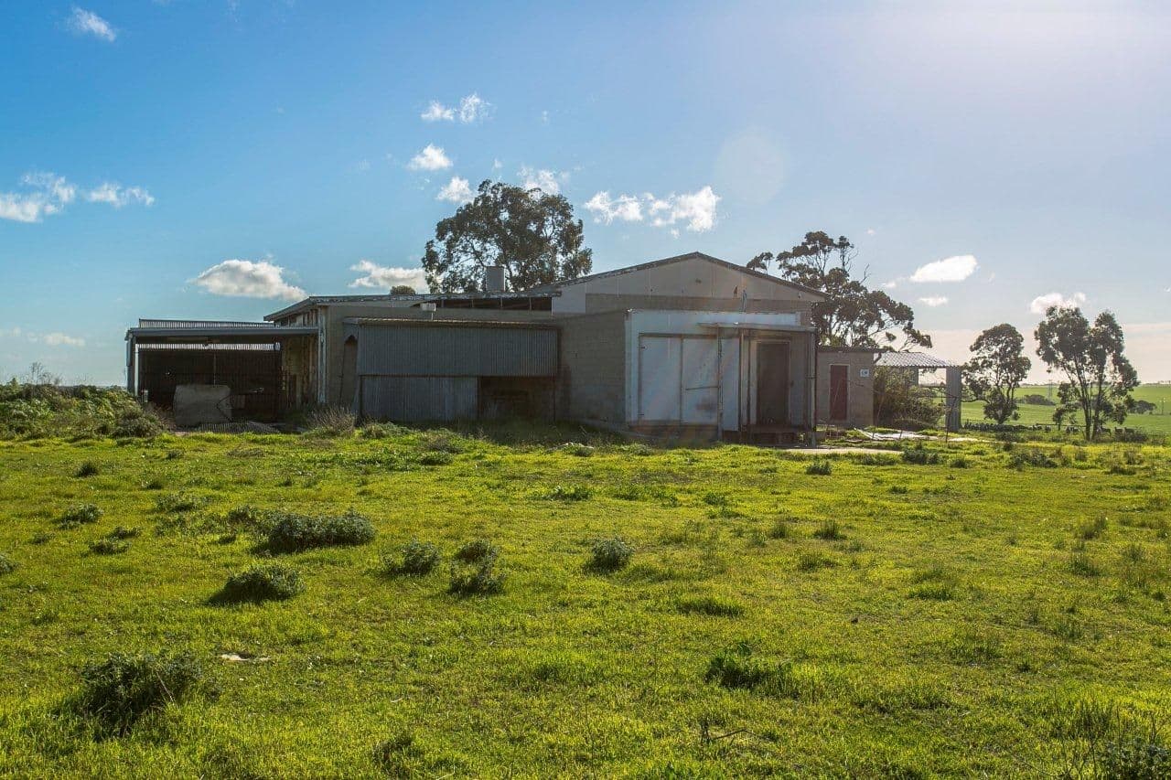 130 Booker Road, Templers, FREELING SA 5372, Freeling - Thumbnail 2