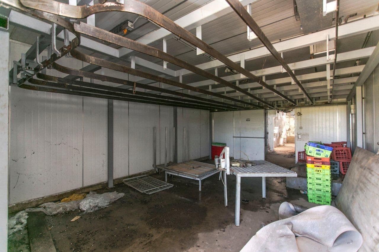 130 Booker Road, Templers, FREELING SA 5372, Freeling - Thumbnail 3