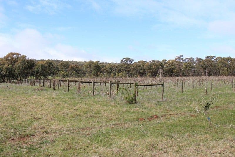 1000 Northern Highway, HEATHCOTE VIC 3523, Heathcote - Thumbnail 6