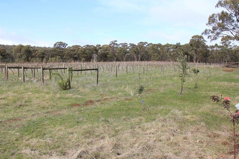 1000 Northern Highway, HEATHCOTE VIC 3523, Heathcote - Thumbnail 5
