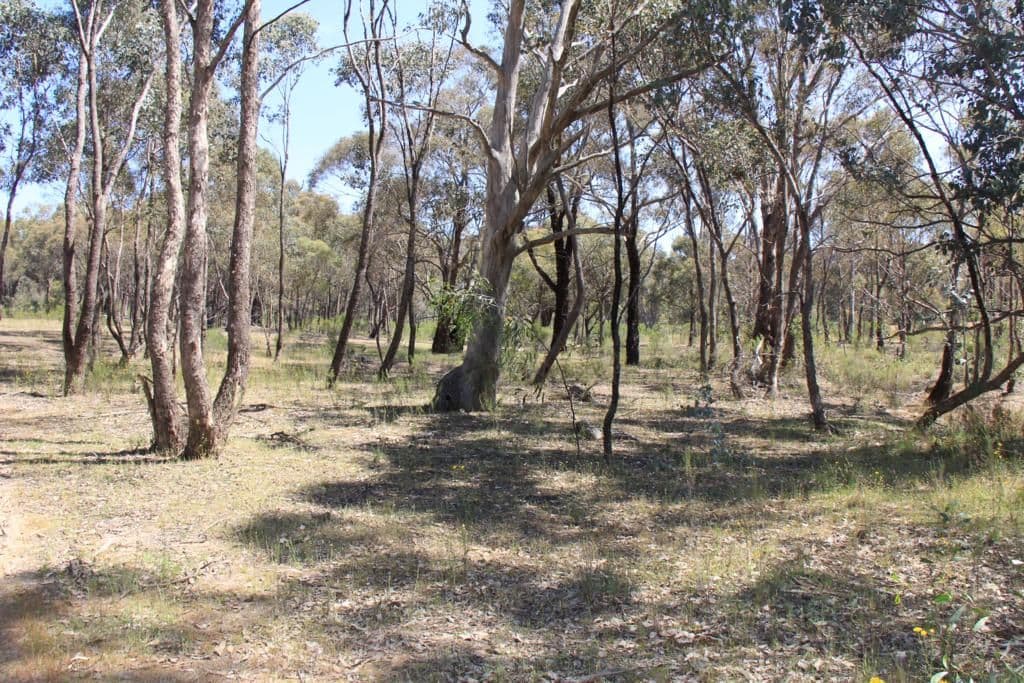 Lot 3 Young's Lane, HEATHCOTE VIC 3523, Heathcote - Thumbnail 4