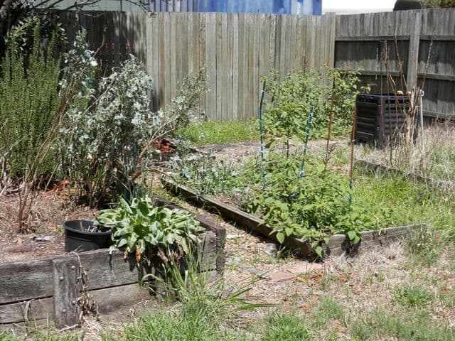 19 Videroni Street, SILKSTONE QLD 4304, Silkstone - Thumbnail 4