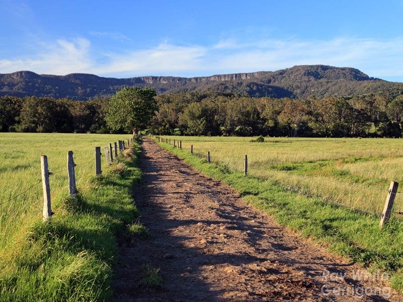 37 Harley Hill Road, BERRY NSW 2535, Berry - Thumbnail 4