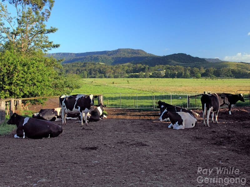 37 Harley Hill Road, BERRY NSW 2535, Berry - Thumbnail 3
