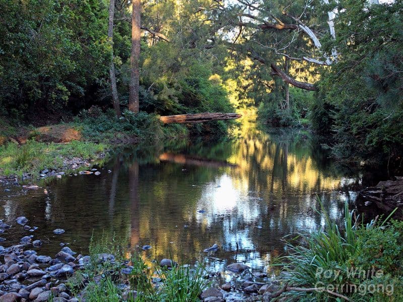 37 Harley Hill Road, BERRY NSW 2535, Berry - Thumbnail 5