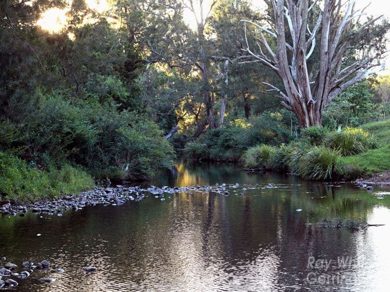 37 Harley Hill Road, BERRY NSW 2535, Berry - Thumbnail 6