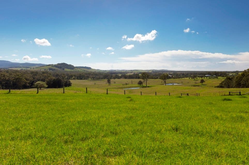 55 Wire Lane, BERRY NSW 2535, Berry - Thumbnail 2