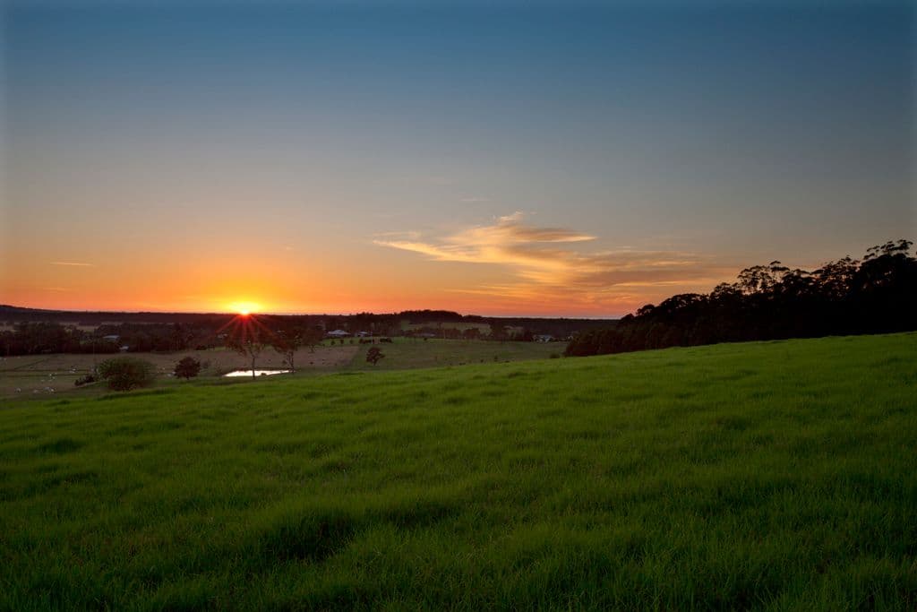 55 Wire Lane, BERRY NSW 2535, Berry - Thumbnail 4