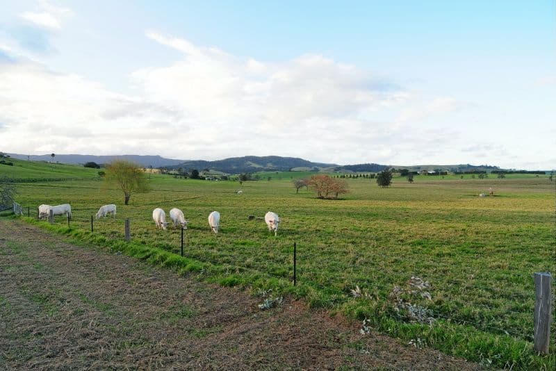 5 Dooley Road, GERRINGONG NSW 2534, Gerringong - Thumbnail 7