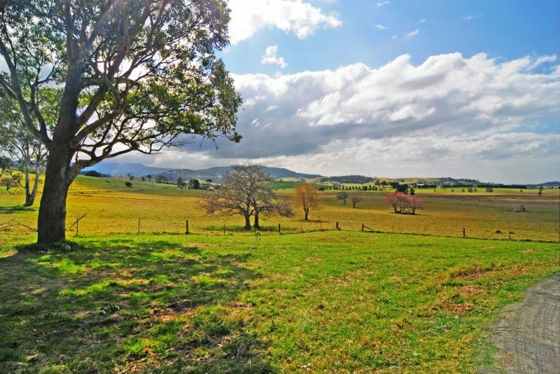 5 Dooley Road, GERRINGONG NSW 2534, Gerringong - Thumbnail 4
