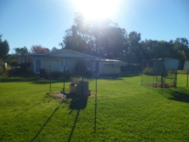 15156 Guyra Road, GILGAI NSW 2360, Gilgai - Thumbnail 6