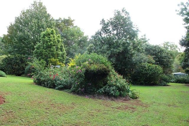 62-64 Sierra Drive, TAMBORINE MOUNTAIN QLD 4272, Tamborine Mountain - Thumbnail 2