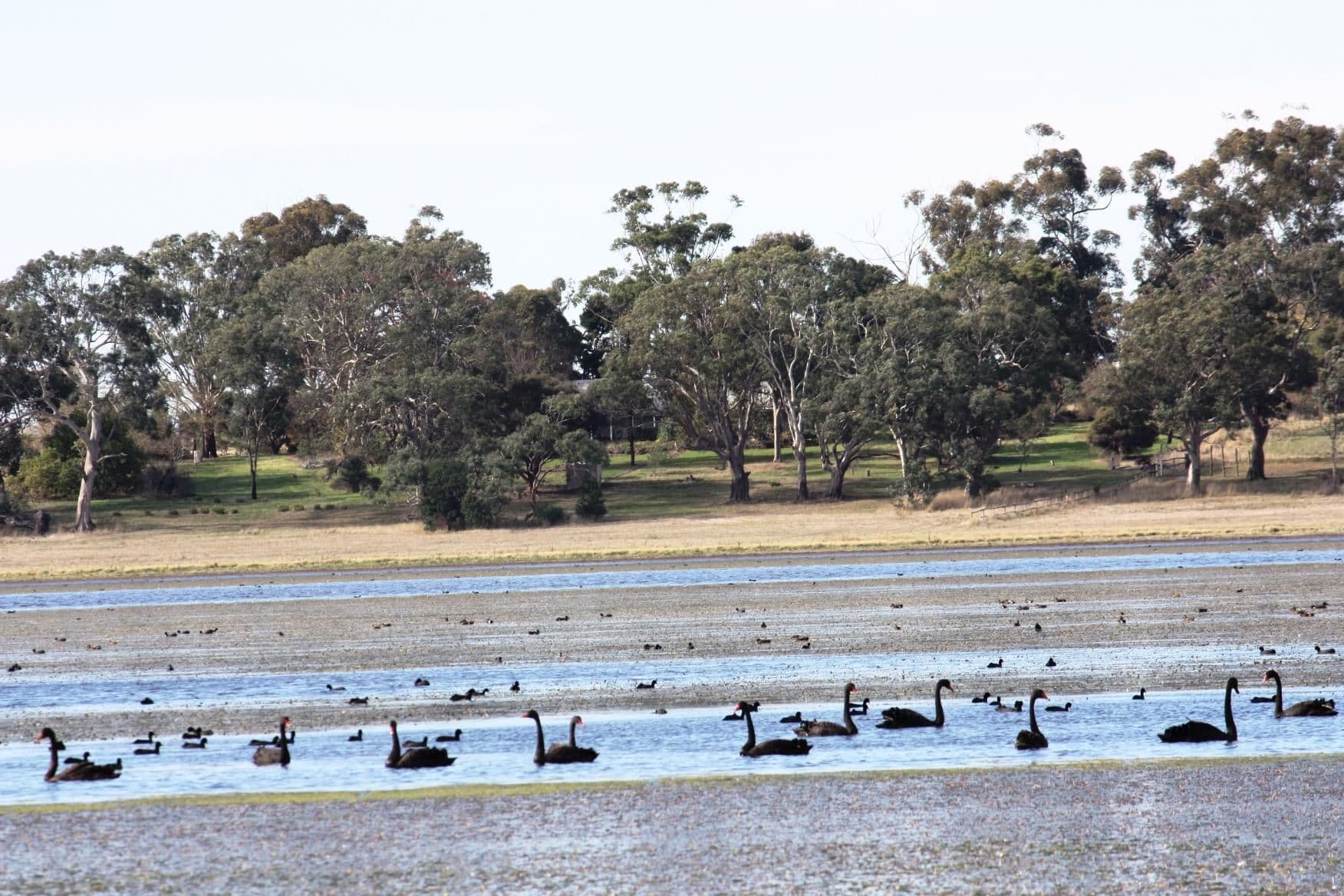 EDENHOPE VIC 3318, Edenhope - Thumbnail 3