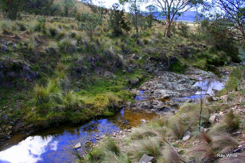 3940 Cooma Road, Braidwood NSW 2622, Braidwood - Thumbnail 4