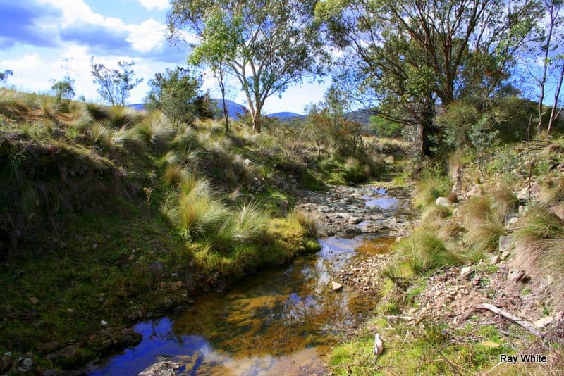 3940 Cooma Road, Braidwood NSW 2622, Braidwood - Thumbnail 5