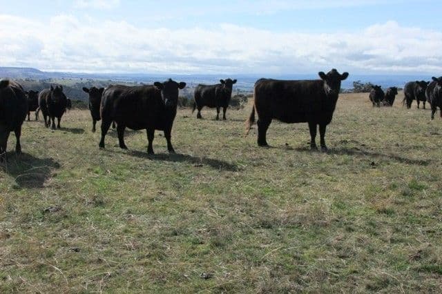 0 Mitchell Highway., BATHURST NSW 2795, Bathurst - Thumbnail 6