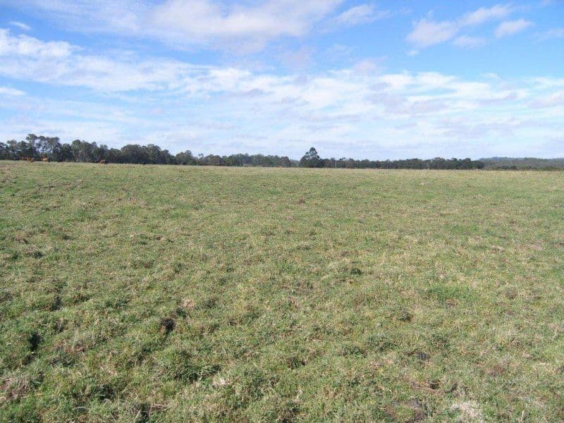 56 Freds Road, DENMARK WA 6333, Denmark - Thumbnail 2