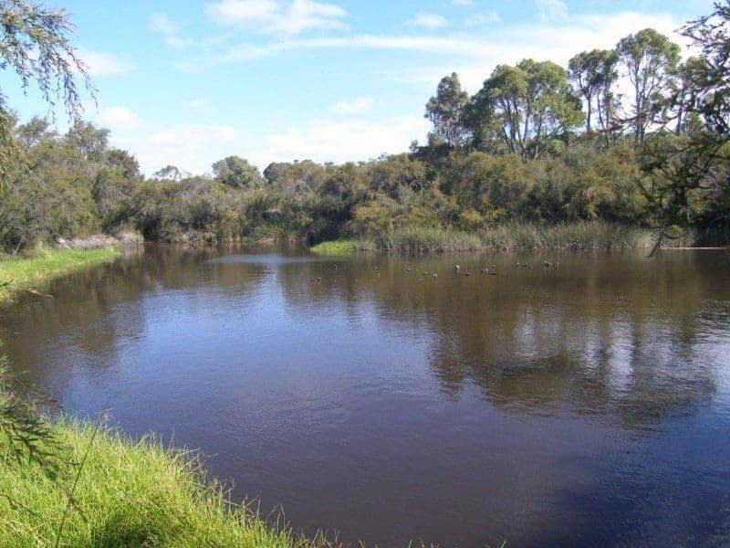 56 Freds Road, DENMARK WA 6333, Denmark - Thumbnail 3