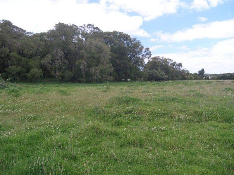Lot 2842 Thompson Road, LOWLANDS WA 6330, Lowlands - Thumbnail 5