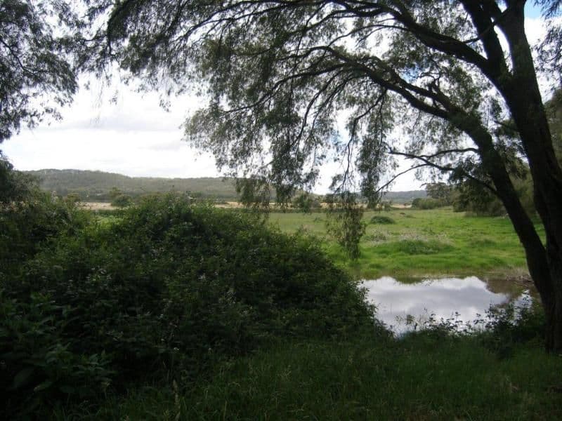 Lot 2842 Thompson Road, LOWLANDS WA 6330, Lowlands - Thumbnail 6