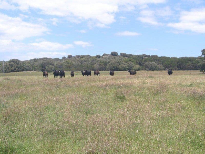 Lot 2842 Thompson Road, LOWLANDS WA 6330, Lowlands - Image 1